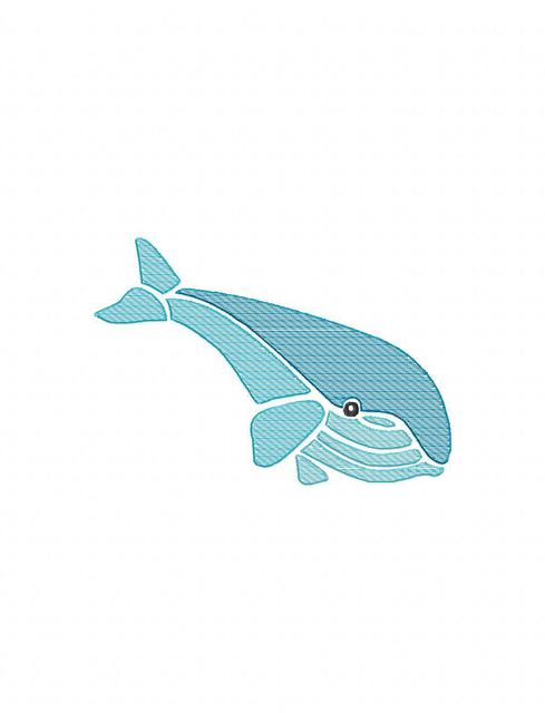 489x640 Whale Color Sketch Embroidery Design - Whale Sketch