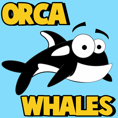400x400 How To Draw Cartoon Orca Whales With Easy Step By Step Drawing - Whale Sketch Cartoon