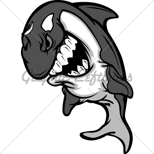 500x500 Killer Whale Mascot Cartoon Gl Stock Images - Whale Sketch Cartoon