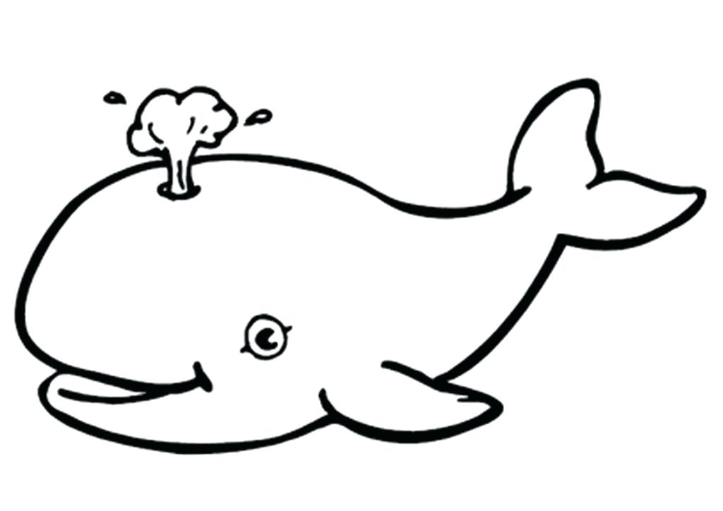 1024x724 Stunning How To Draw A Whale Awesome How To Draw Whales How To - Whale Sketch Cartoon