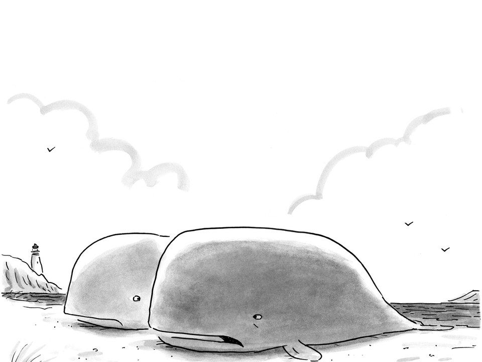 960x720 Daily Cartoon Monday, May 25th The New Yorker - Whale Sketch Cartoon