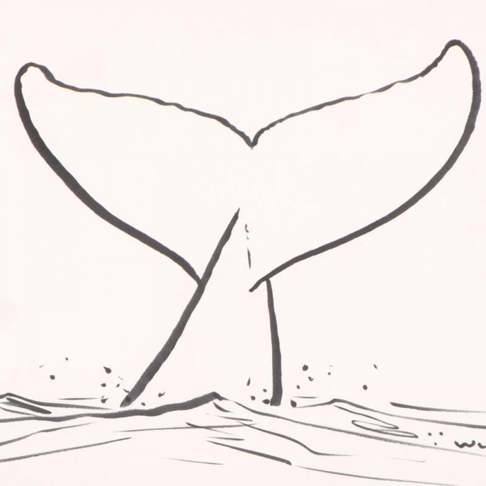 How To Draw A Whale Tale