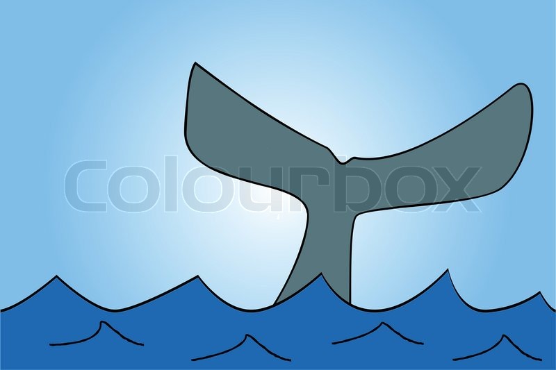 800x533 Scribble Sketch Of Whale Tail Stock Vector Colourbox - Whale Tail Sketch