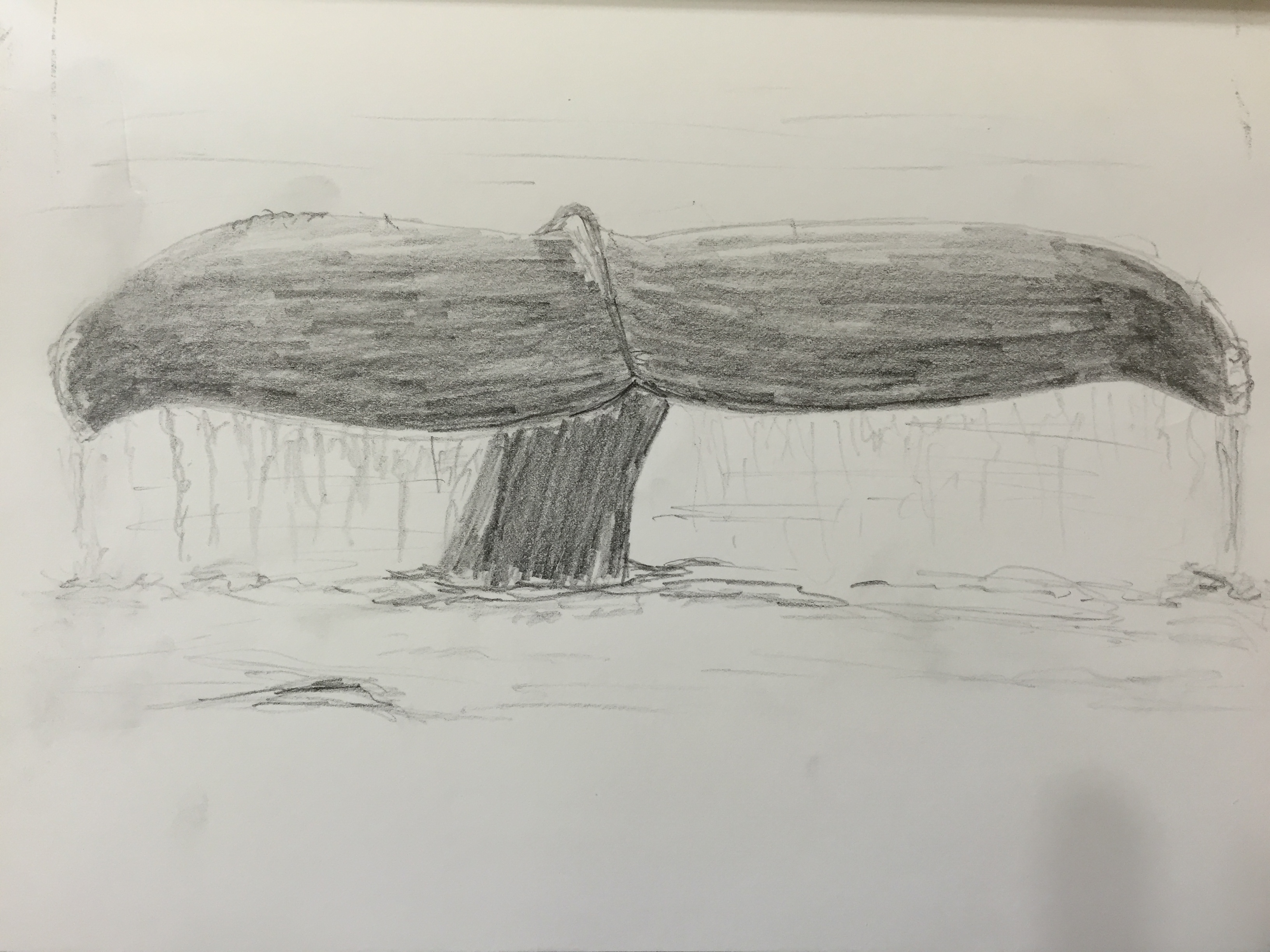 3264x2448 Art Impasto - Whale Tail Sketch