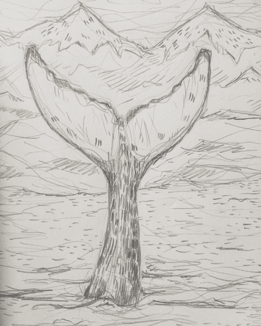 512x640 Inked In Red Whale Tail - Whale Tail Sketch