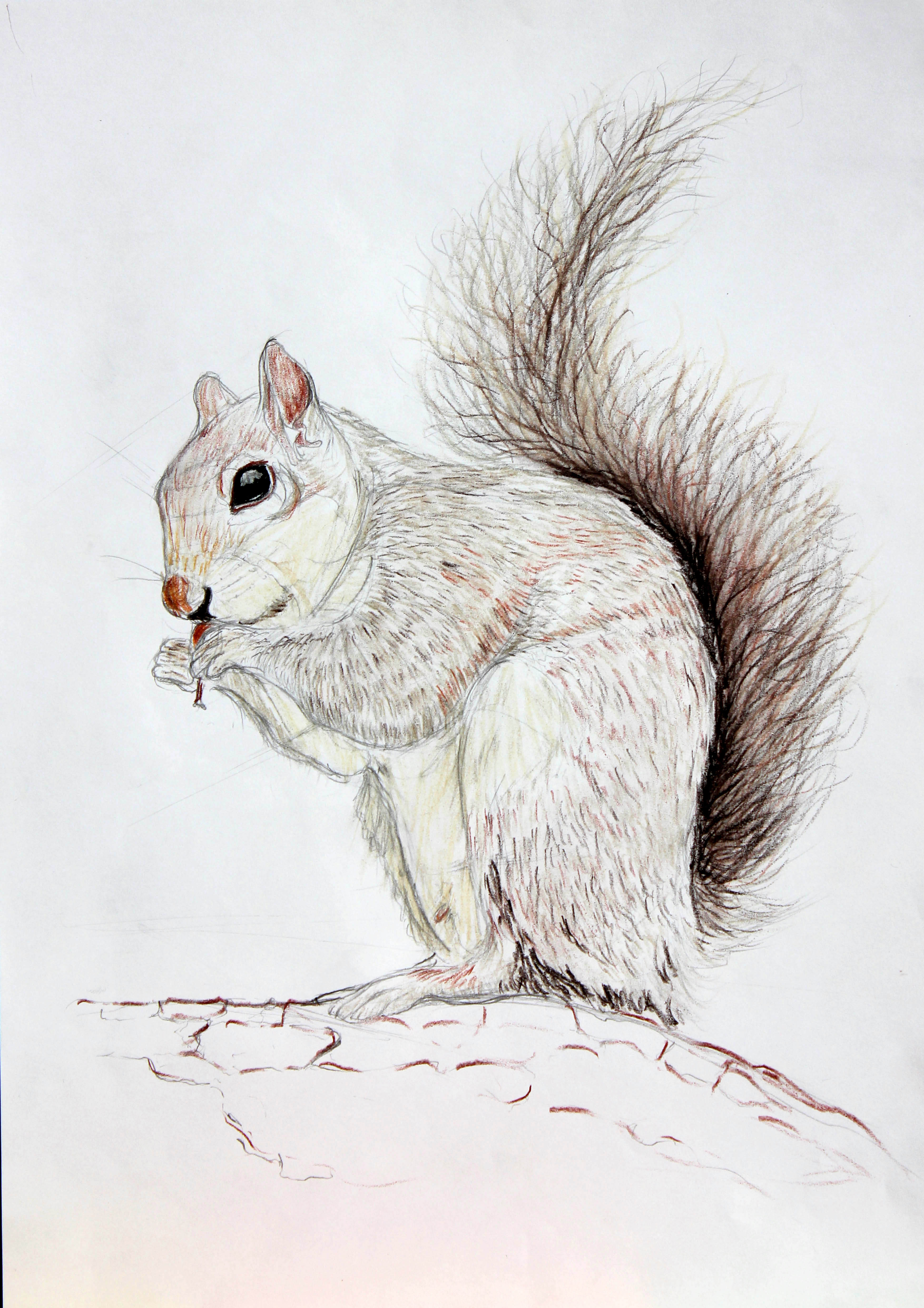 3508x4961 Koray Benli - What Is A Artistic Sketch