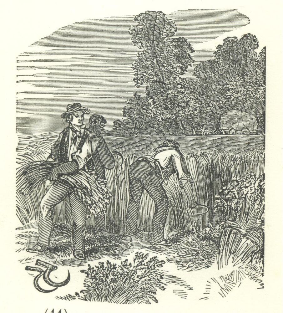 905x1000 1851 Wood Engraving Farming The Reapers Wheat Field Sketch - Wheat Field Sketch