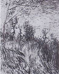192x240 Wheat Fields (Van Gogh Series) - Wheat Field Sketch