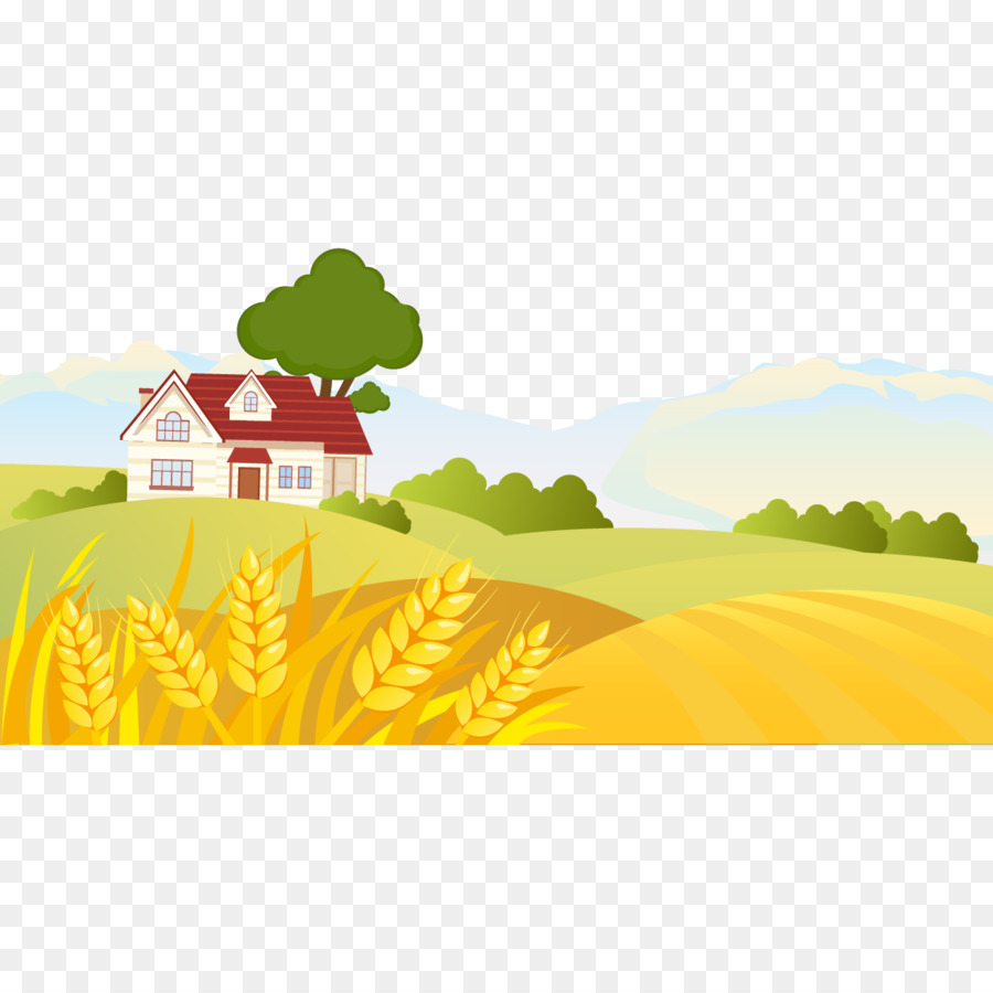 900x900 Cartoon Landscape Drawing Illustration - Wheat Field Sketch