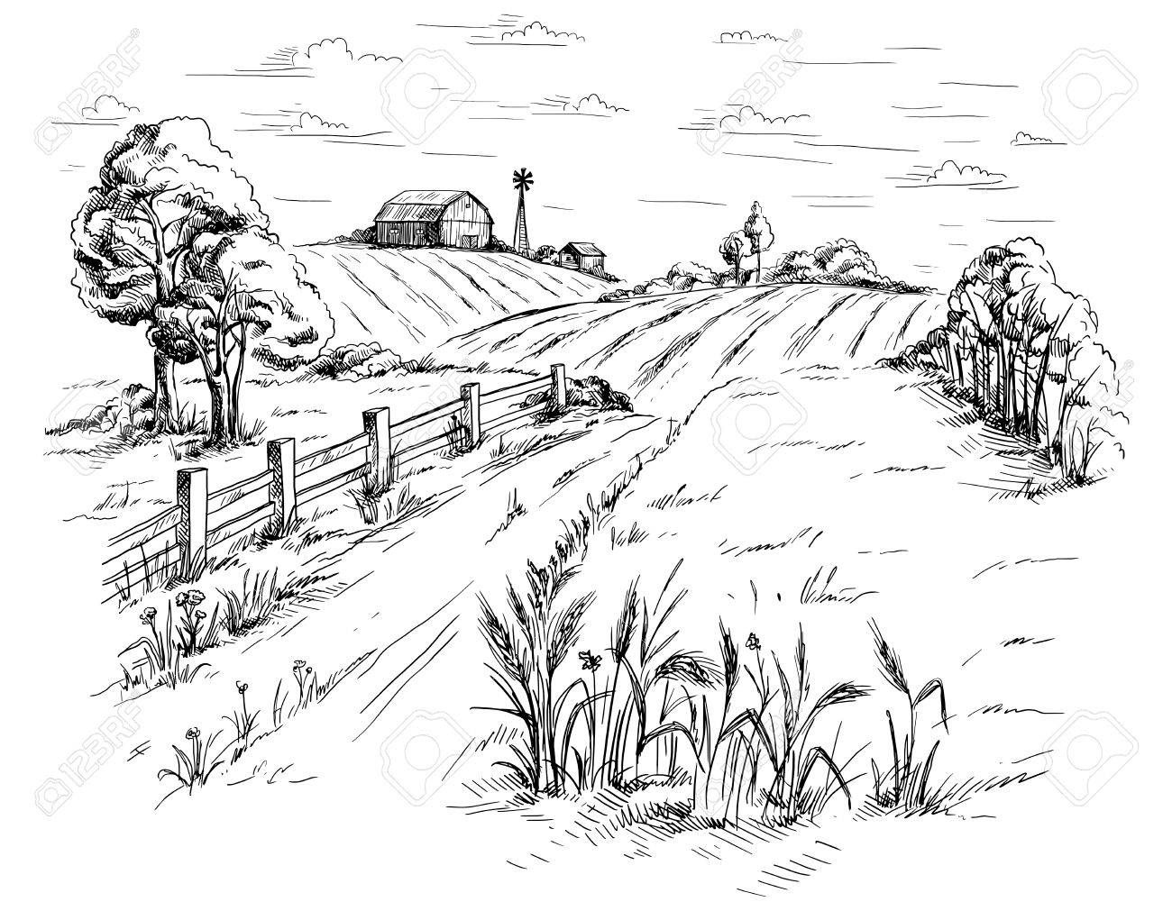 Wheat Field Sketch at Explore collection of Wheat
