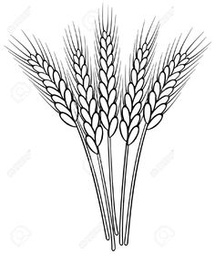 236x278 Wheat Clipart - Wheat Plant Sketch