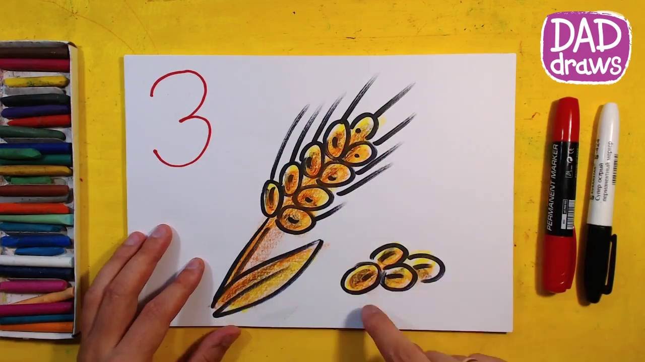 1280x720 How To Draw The Ears Of Wheat Art For Kids - Wheat Sketch