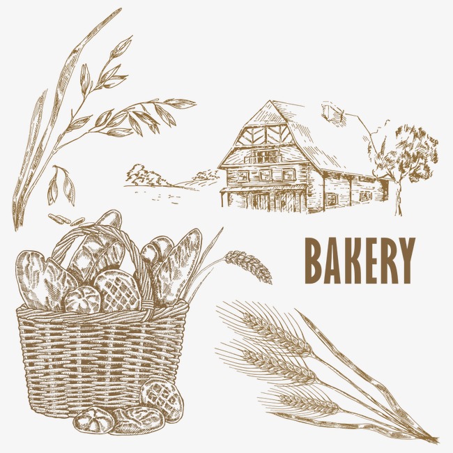 650x650 Sketch Wheat, Sketch Vector, Wheat Vector, Wheat Png And Vector - Wheat Sketch