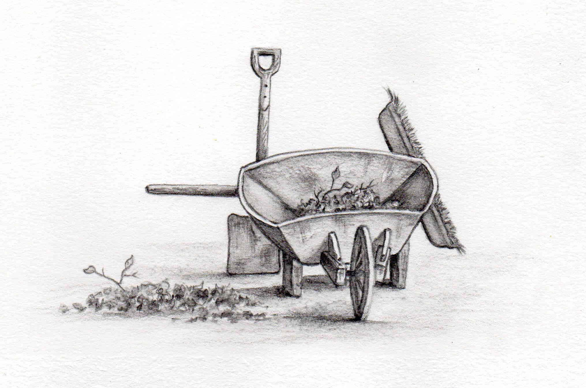 Wheelbarrow Sketch at Explore collection of
