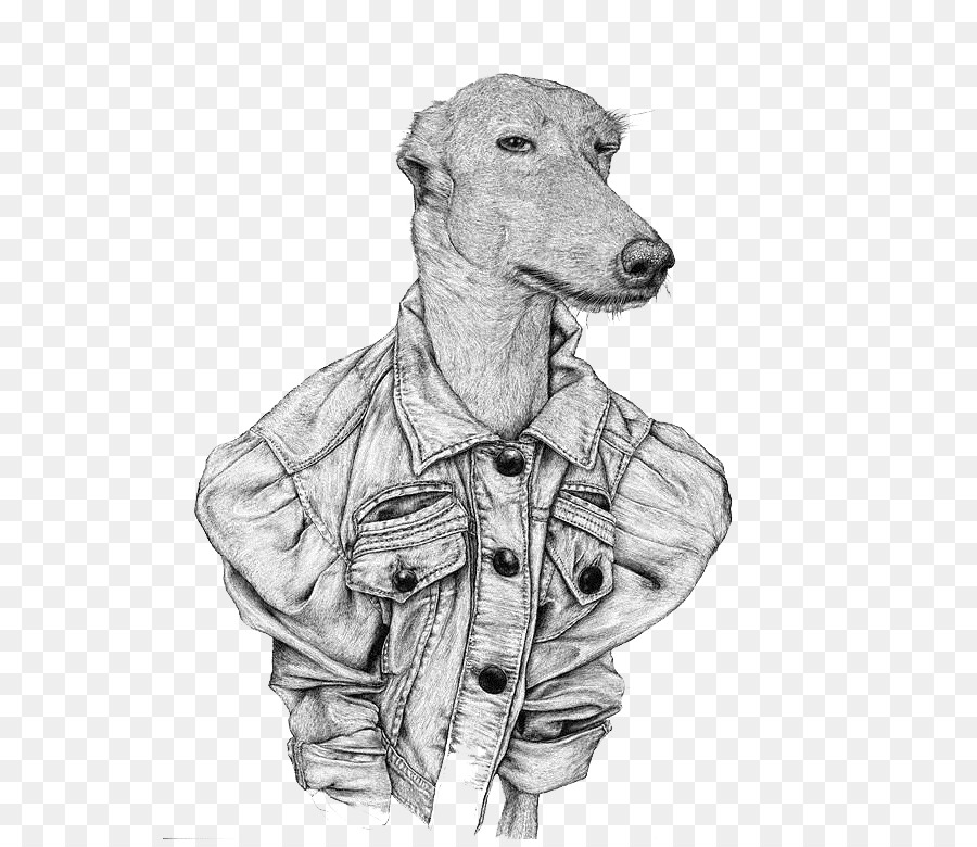 900x780 Drawing Art Creative Work Painting Illustration - Whippet Sketch