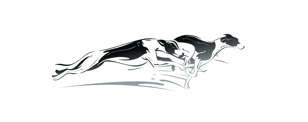 1000x396 Whippet Timing Summary Whippet Analytics - Whippet Sketch