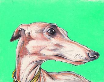 340x270 Whippet Sketch Etsy - Whippet Sketch