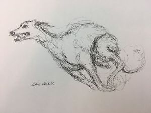 300x225 Original Ink Sketch Dog Art Drawing Paper Whippet Running By - Whippet Sketch
