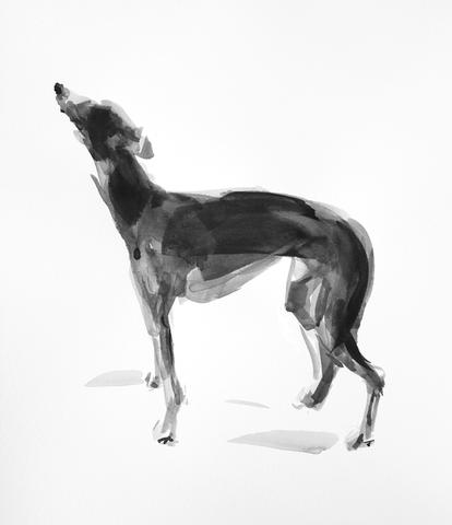 414x480 Paintmydog Dog Art Contemporary Dog Portraits - Whippet Sketch