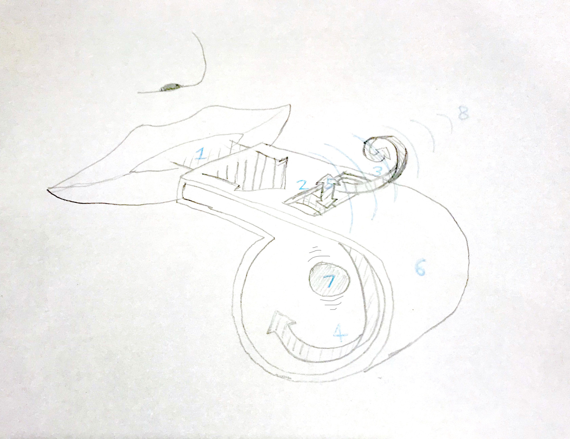 Whistle Sketch at Explore collection of Whistle Sketch