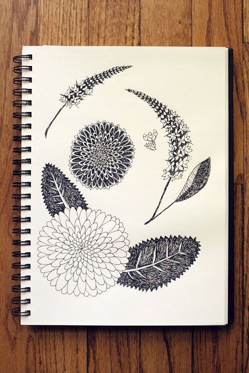 500x750 Flower Sketch Prints Amp Drawing Tips Sketches - Whistle Sketch