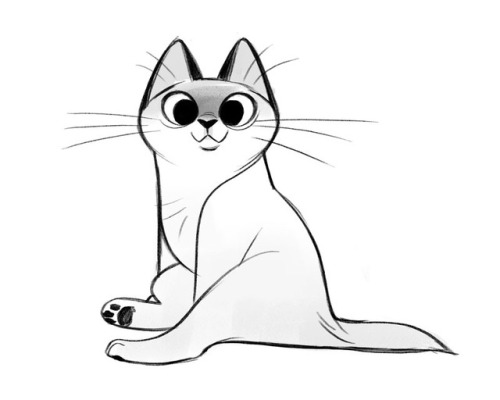 500x400 Daily Cat Drawings - White Cat Sketch