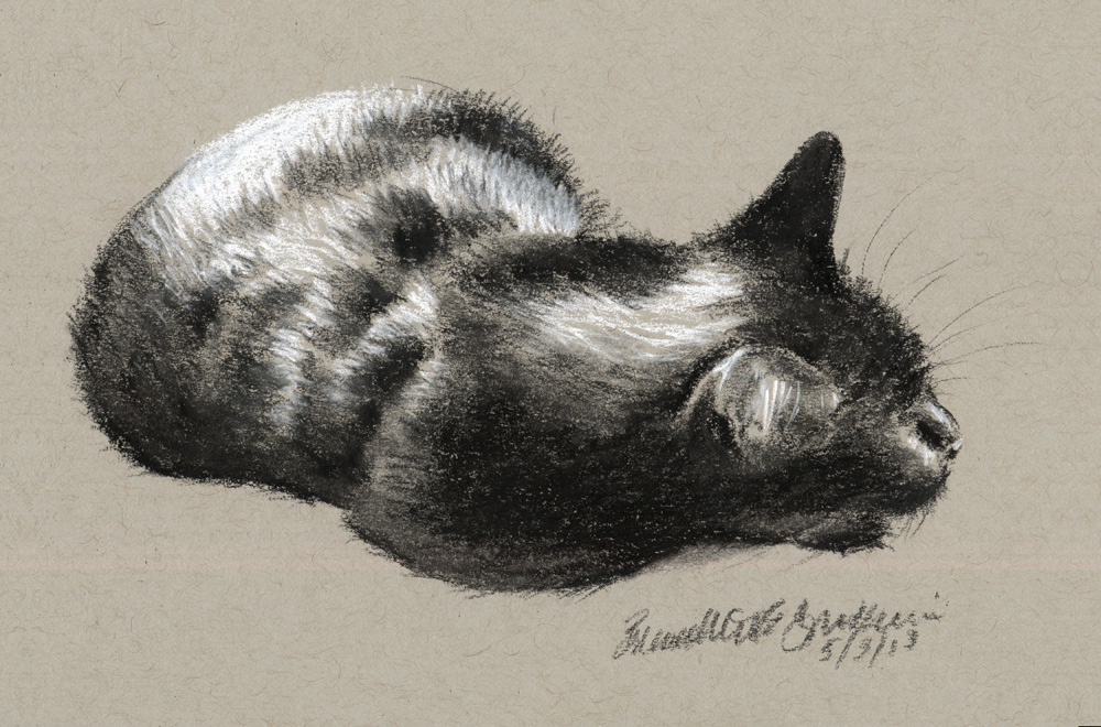 1000x660 Drawn Feline Charcoal - White Cat Sketch