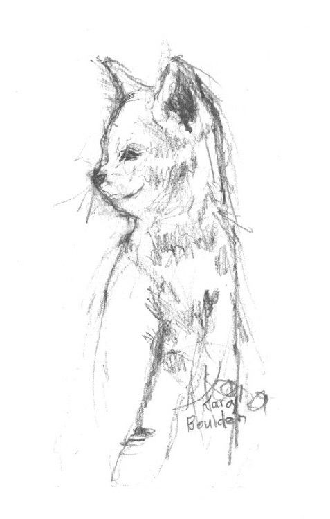 477x750 Original Graphite Drawing, Black And White, Cat, Animals, Sketch - White Cat Sketch
