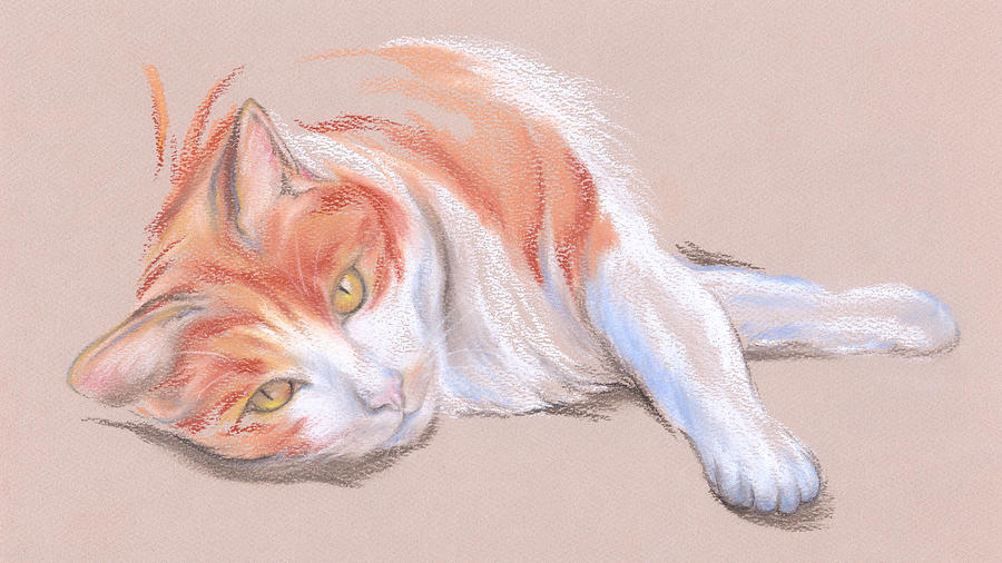 900x506 Orange And White Tabby Cat With Gold Eyes Pastel By Mm Anderson - White Cat Sketch