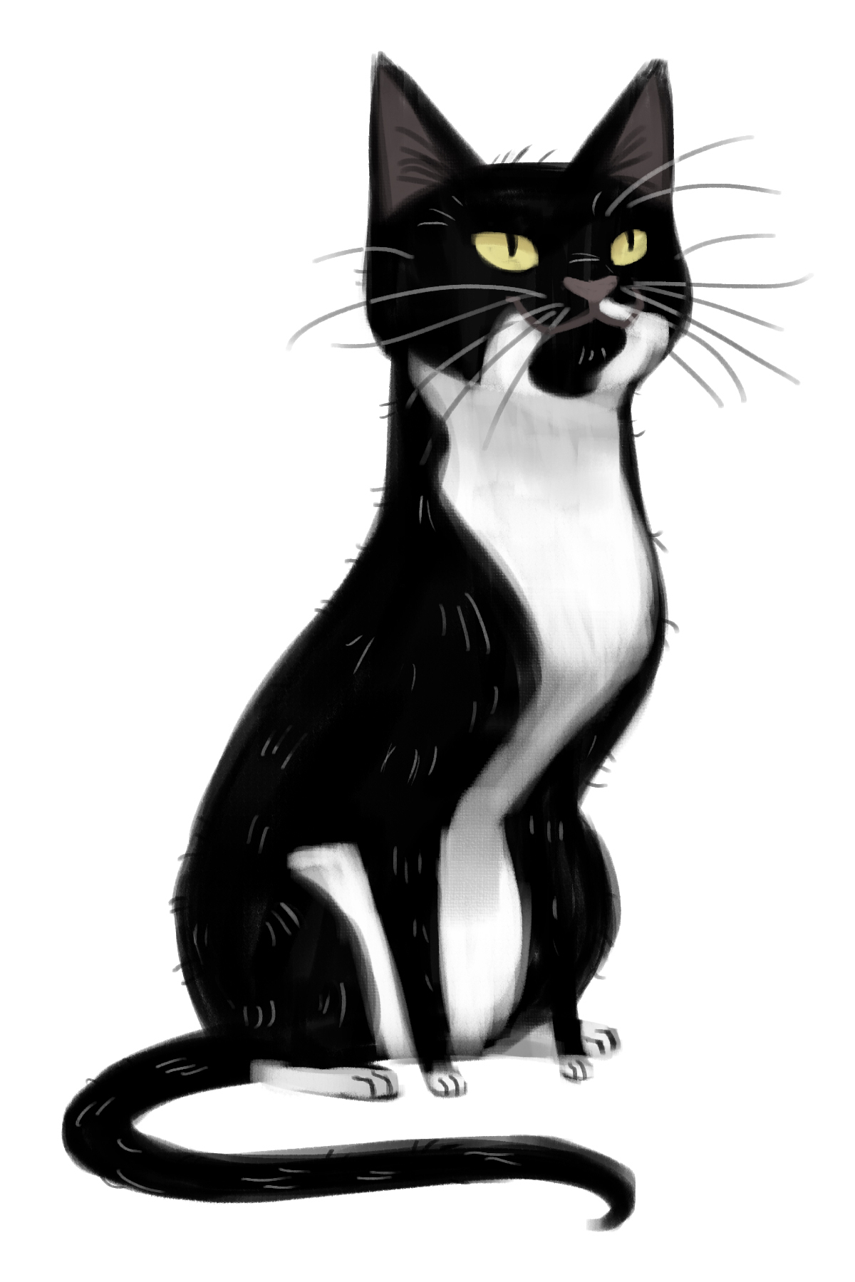 1200x1800 Pictures Cat Sketches Black And White, - White Cat Sketch