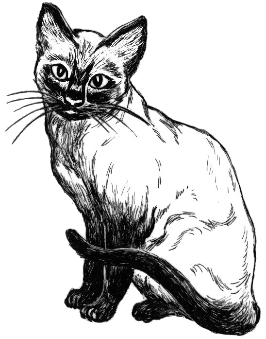 548x697 Puppyand Cat Vector Free Download Black And White - White Cat Sketch