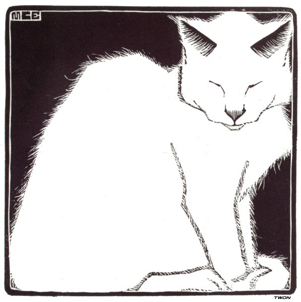 607x608 Sketch Tuesday - White Cat Sketch