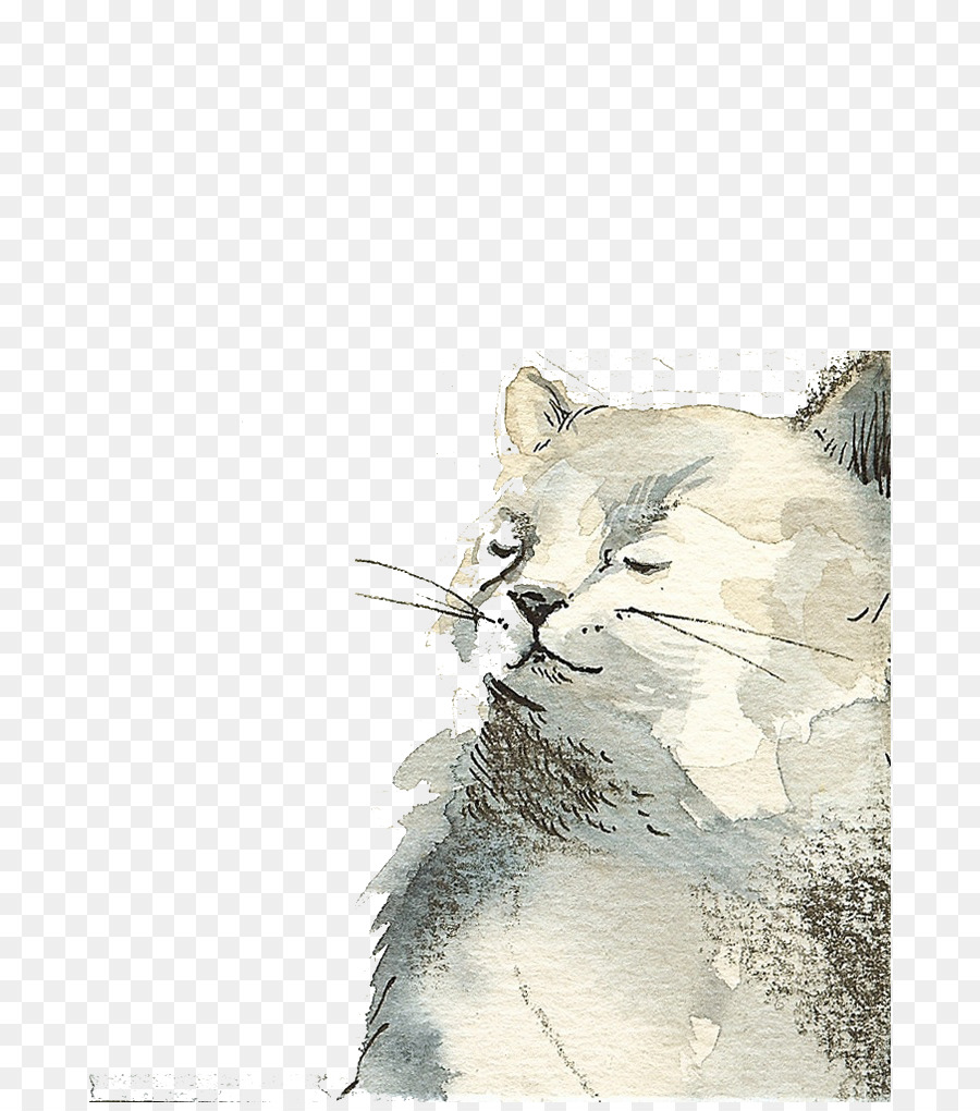 900x1020 Cat Kitten Drawing Watercolor Painting Illustration - White Cat Sketch