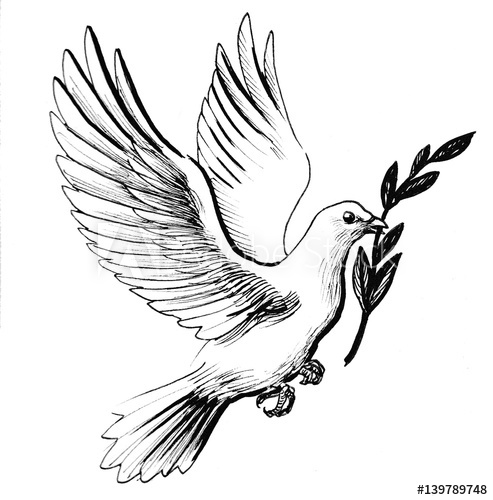 493x500 Flying White Dove With Olive Branch As A Symbol Of Peace. Retro - White Dove Sketch