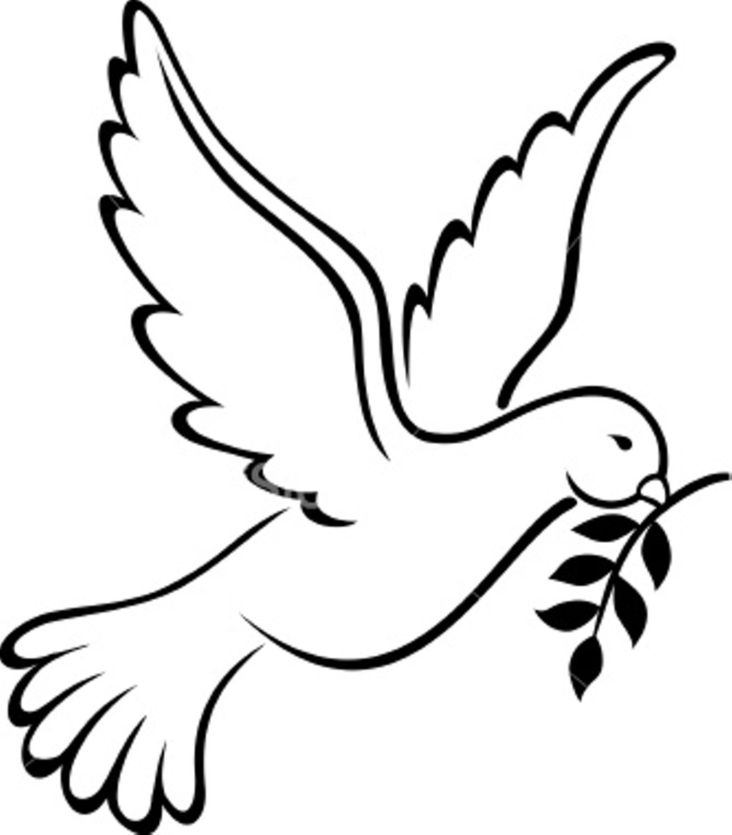 1052x1200 Sketch Clipart Merpati - White Dove Sketch