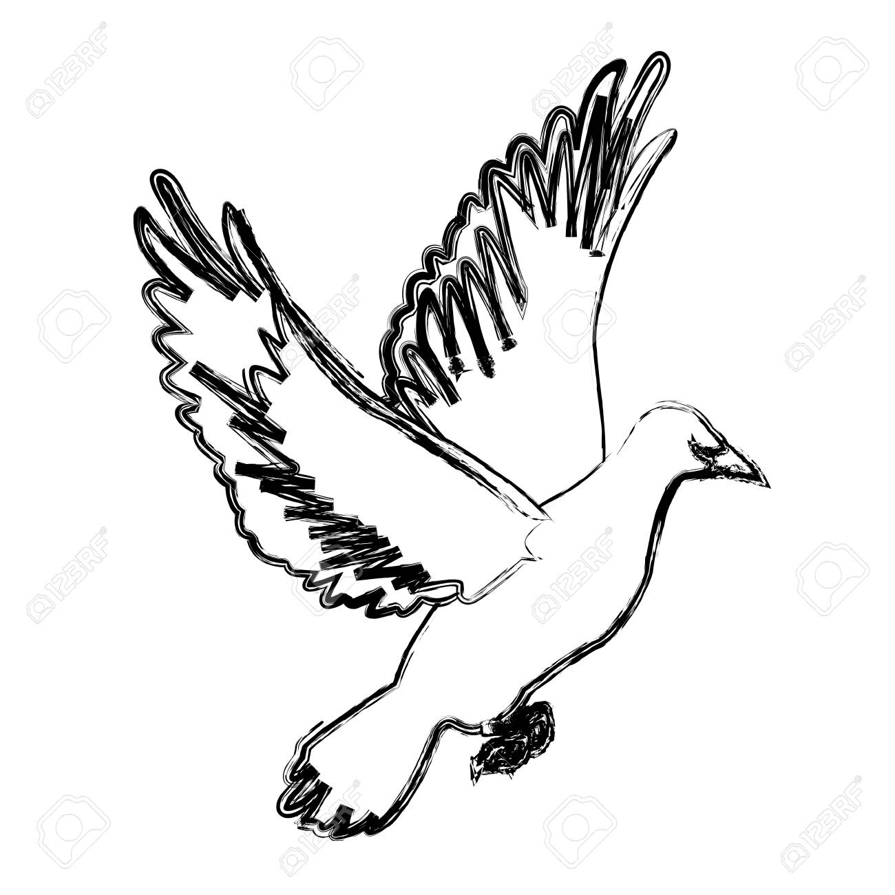 White Dove Sketch at PaintingValley.com | Explore collection of White ...