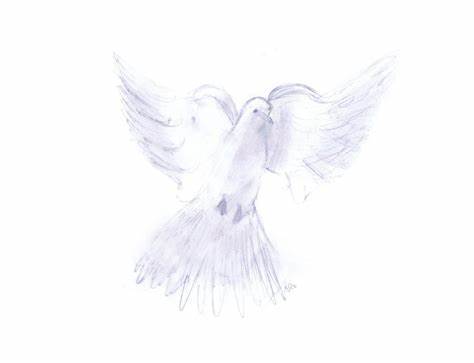 474x363 White Dove Drawing. White Dove Drawing Clipart Best - White Dove Sketch