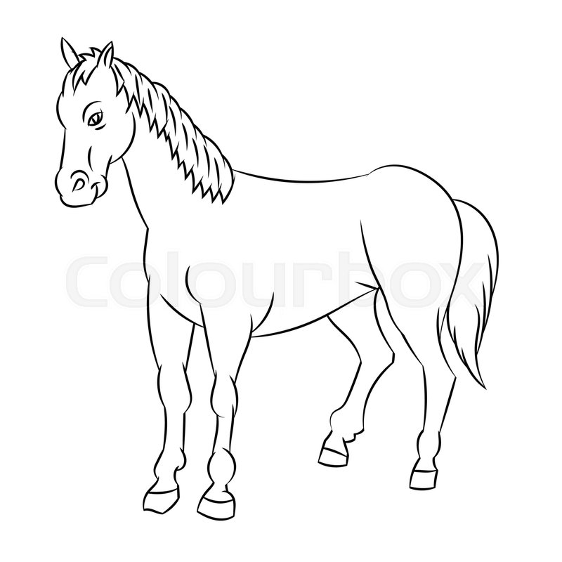 800x800 Hand Drawn Sketch Of Horse Isolated, Black And White Cartoon - White Horse Sketch