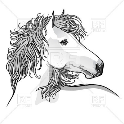 400x400 Sketch Of Hand Drawn Horse Vector Image Vector Artwork Of Plants - White Horse Sketch