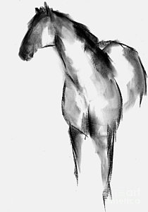 210x300 Black And White Horse Drawings Fine Art America - White Horse Sketch