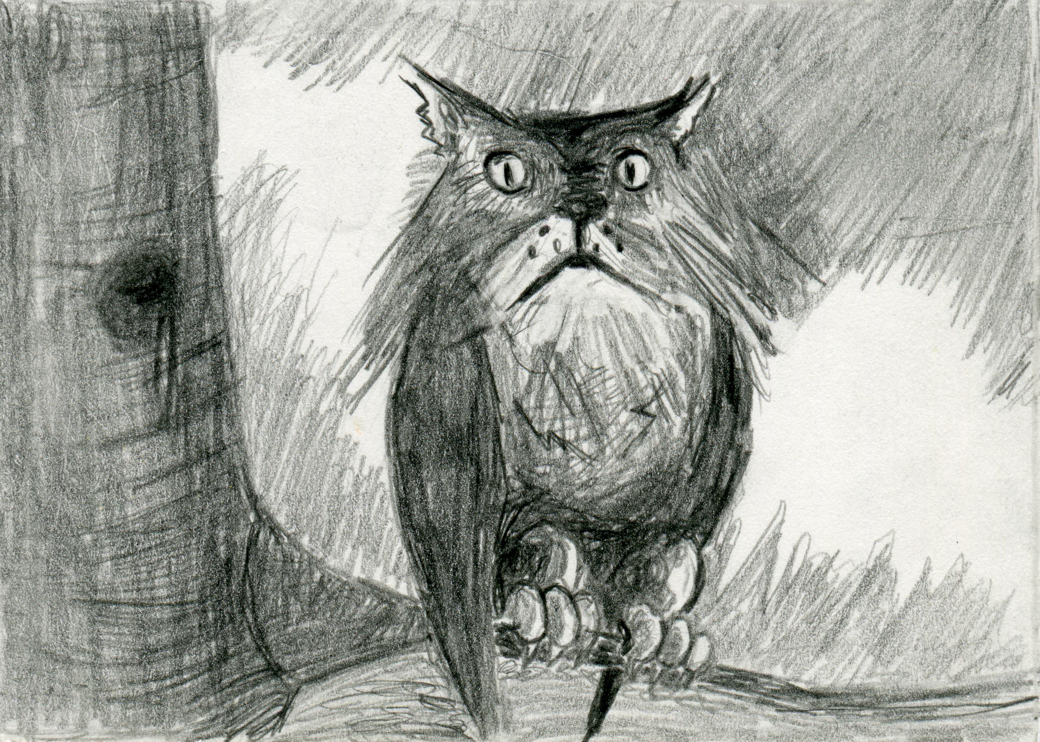 3500x2499 Owl Cat Pencil Drawing Black And White Print - White Pencil For Sketching