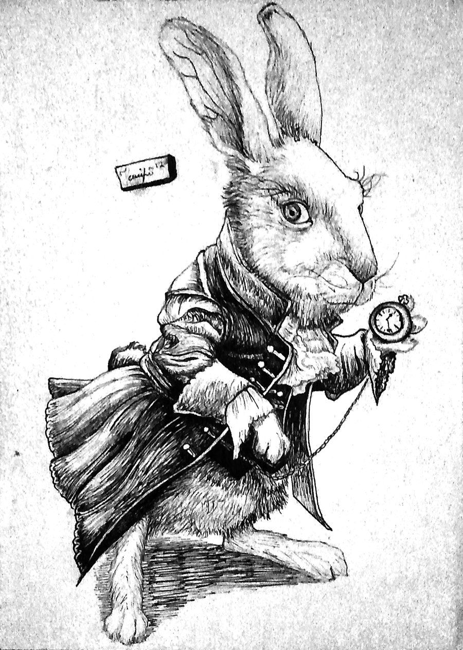 900x1264 White Rabbit By On @ - White Rabbit Sketch
