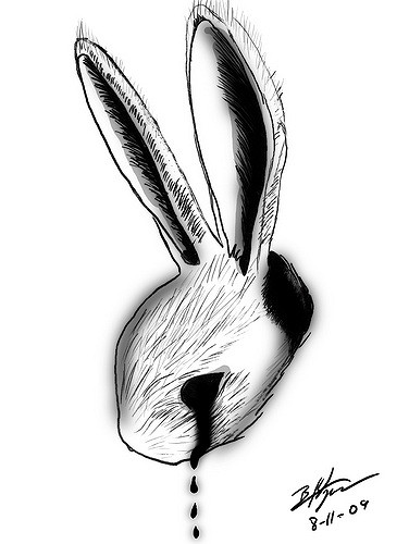 376x500 White Rabbit Sketch Hey Dave! Just Trying Out The New - White Rabbit Sketch