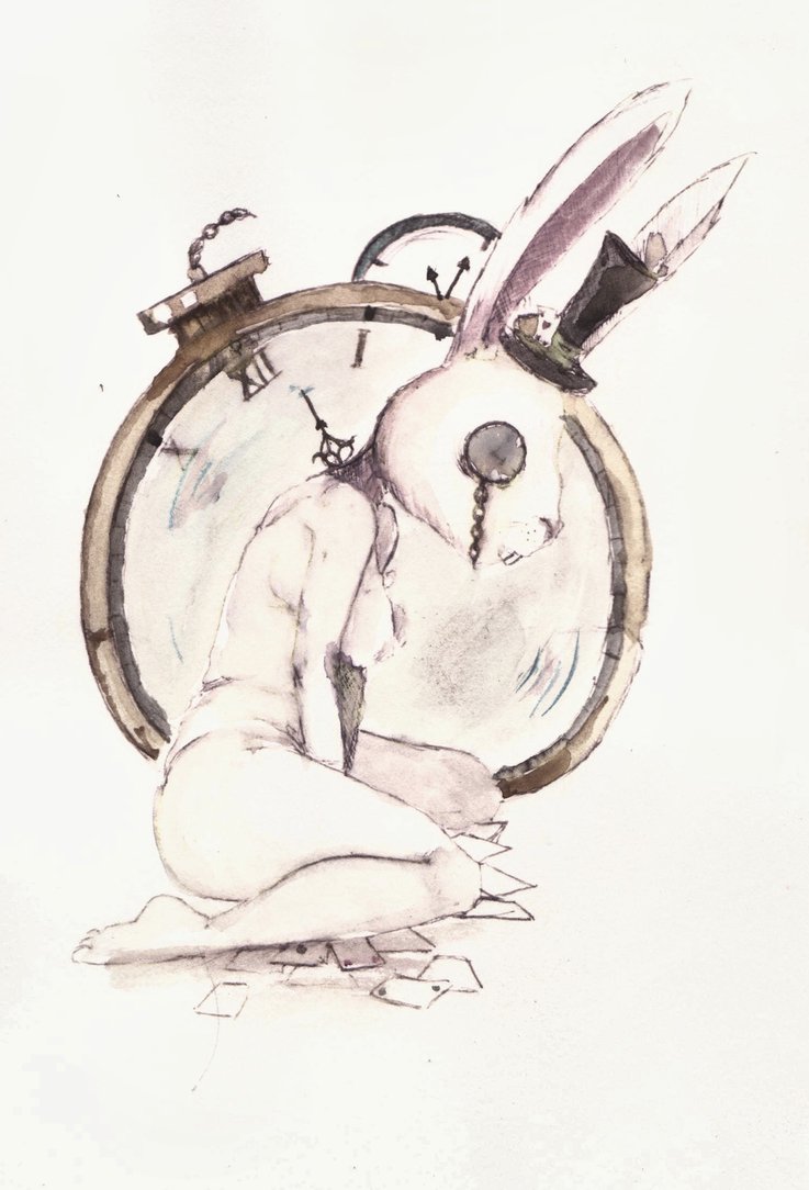 737x1084 White Rabbit By Kittykatpaws - White Rabbit Sketch