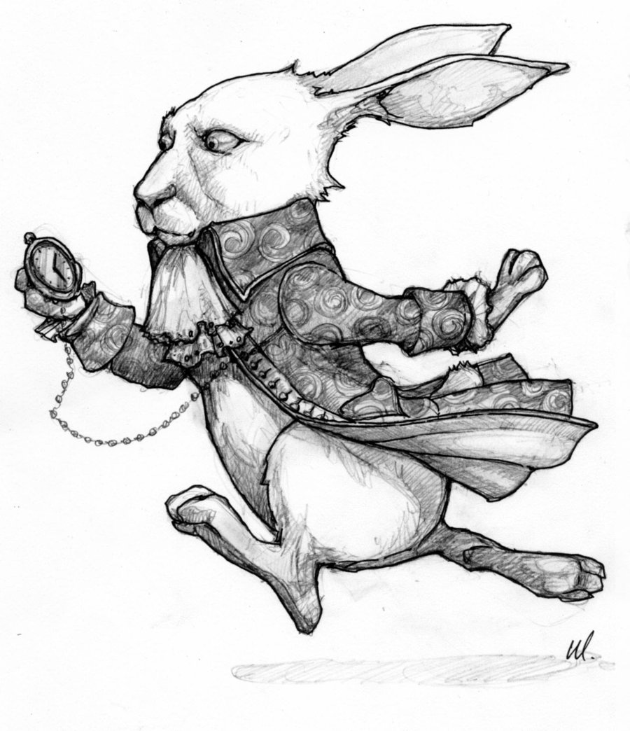 900x1044 Costume Sketch - White Rabbit Sketch