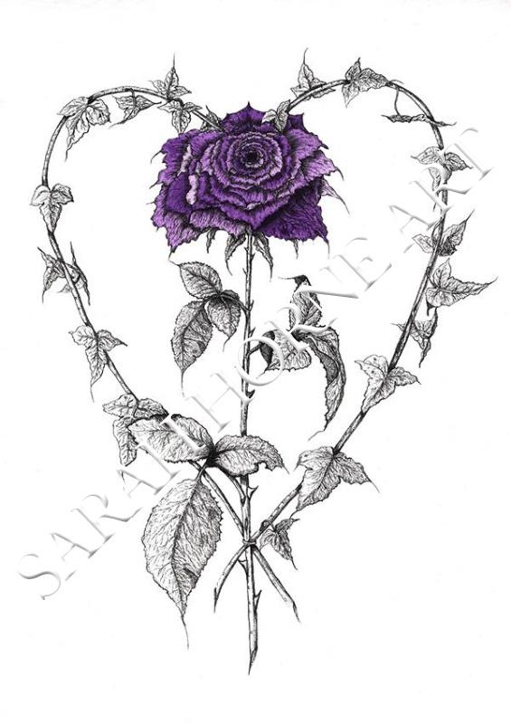 565x800 Ivy Heart With Black And White Rose - White Rose Sketch