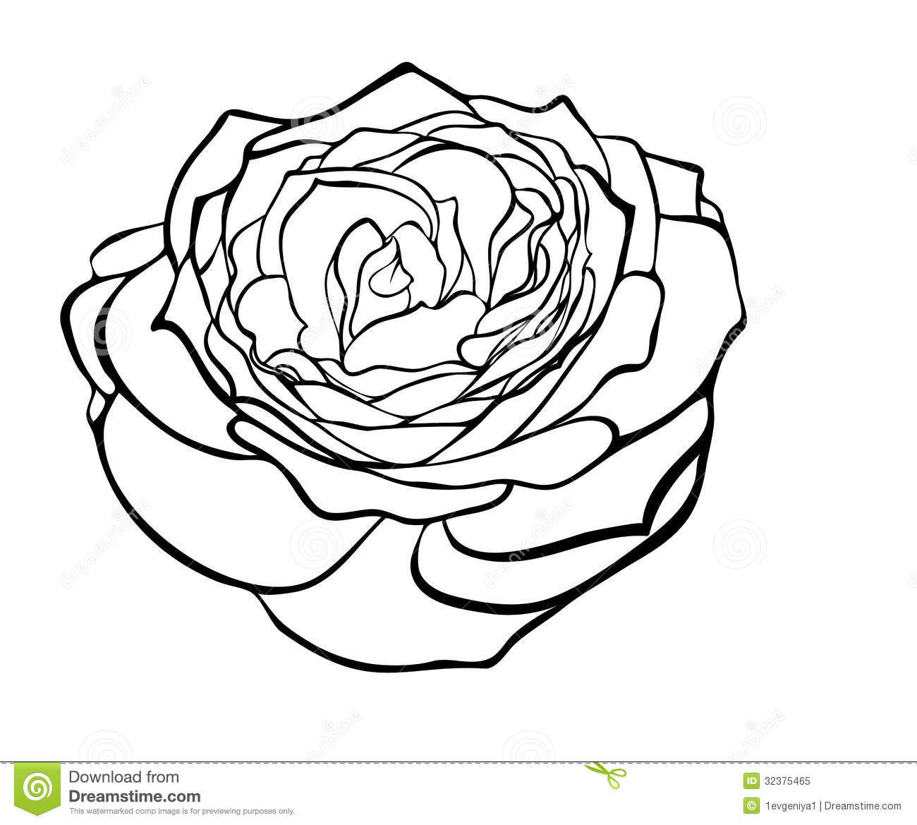 1300x1169 50 Black And White Rose Drawing Uk7c - White Rose Sketch