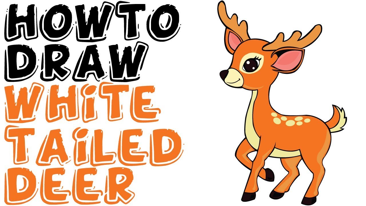 1280x720 Collection Of Whitetail Deer Drawings Easy High Quality - White Tailed Deer Sketch