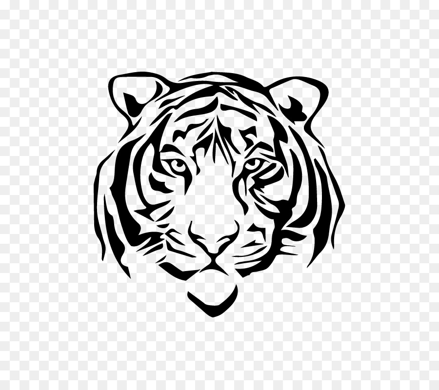 900x800 White Tiger Drawing Sketch - White Tiger Sketch