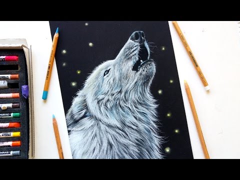 480x360 Drawing A White Wolf With Pastel Pencils Leontine Van Vliet - White Wolf Sketch